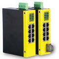 Fast Ethernet switches